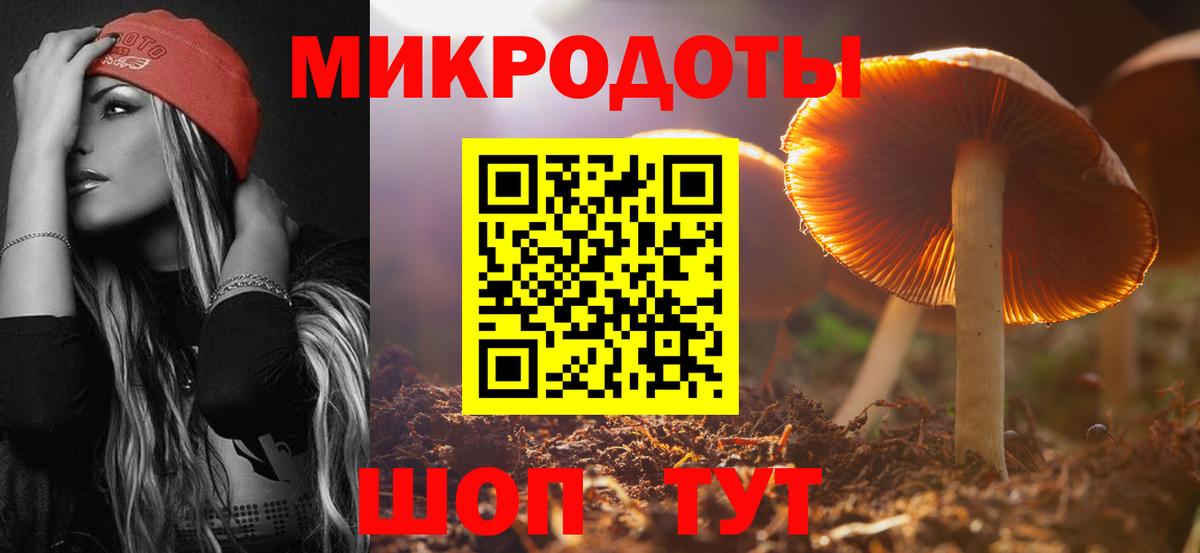 Галлюциногенные грибы Cubensis Ипатово